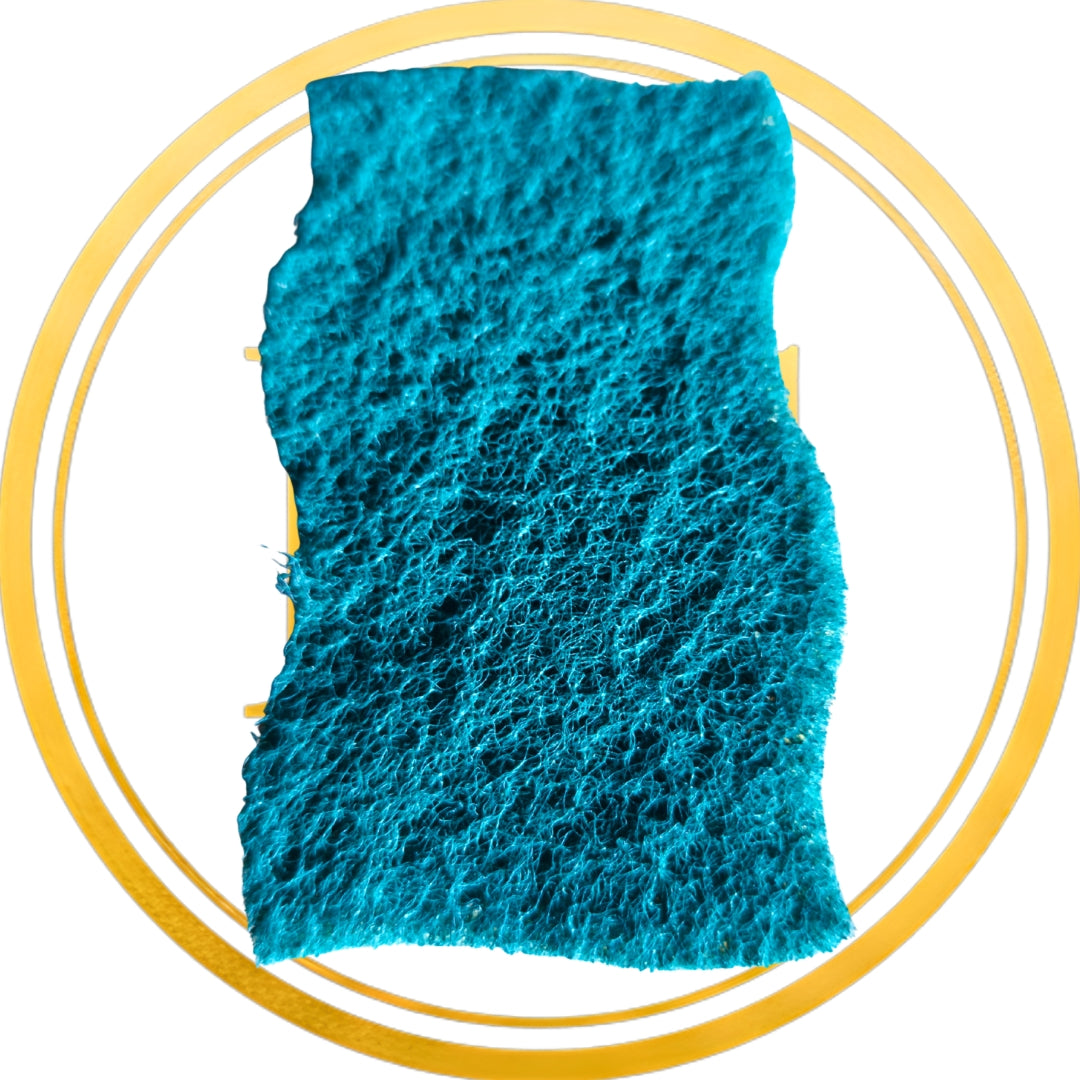 Gąbki celulozowe Nicols 10szt chłonne zmywaki do mycia naczyń